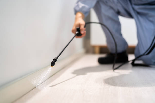 Licensed Fumigation Services service in Double Oak, TX - Nex Pest Control