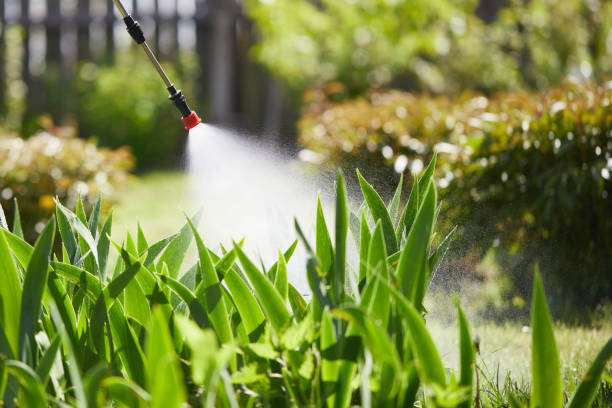 24/7 Emergency Fumigation Services experts in Double Oak, TX