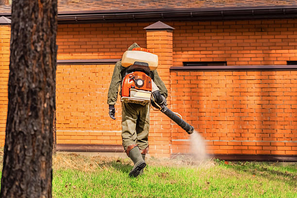 Top rated local Fumigation Services specialists in Double Oak, TX